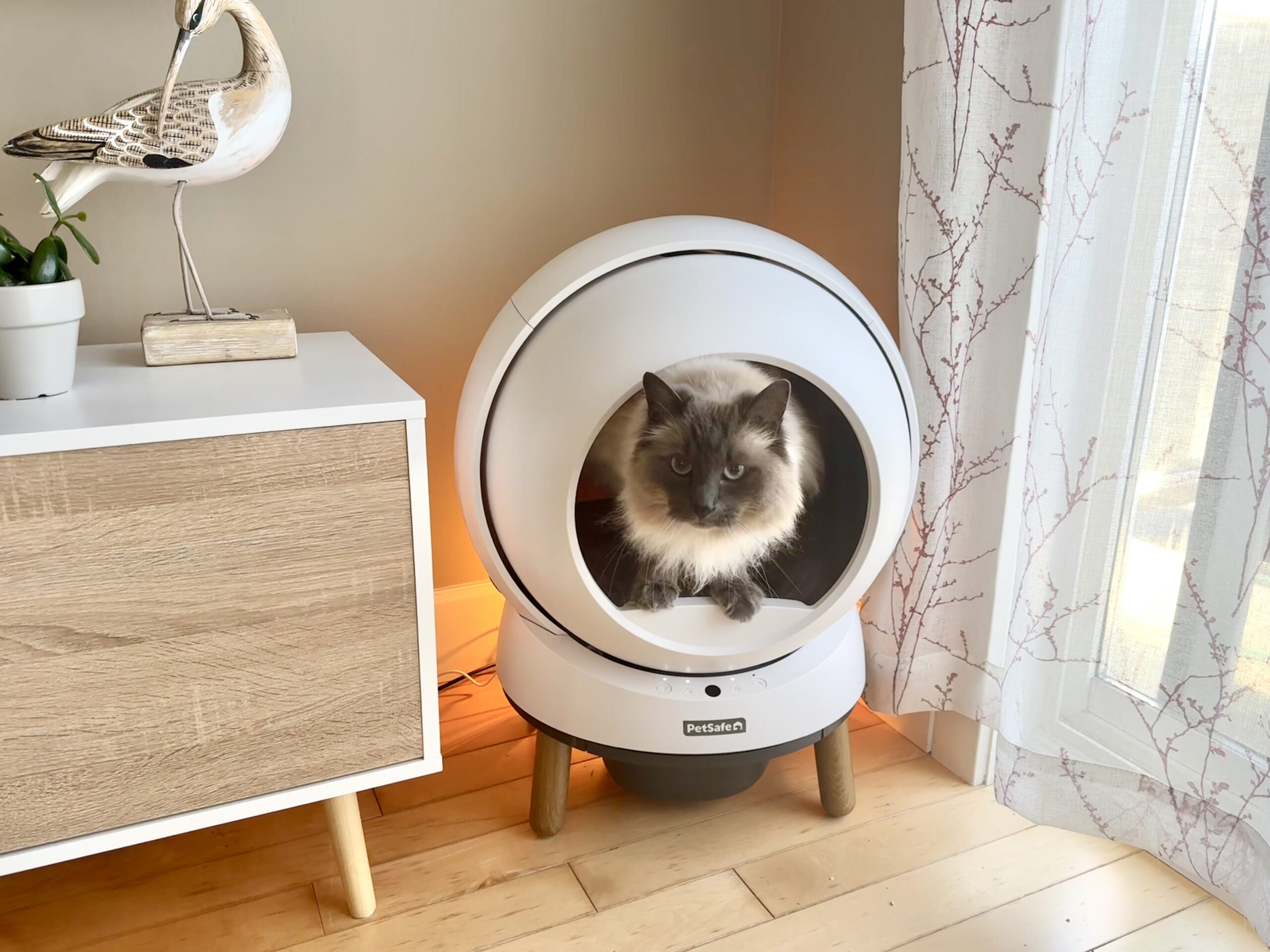 PetSafe SmartSpin with dog